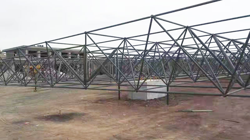 雷竞技体育直播
公司